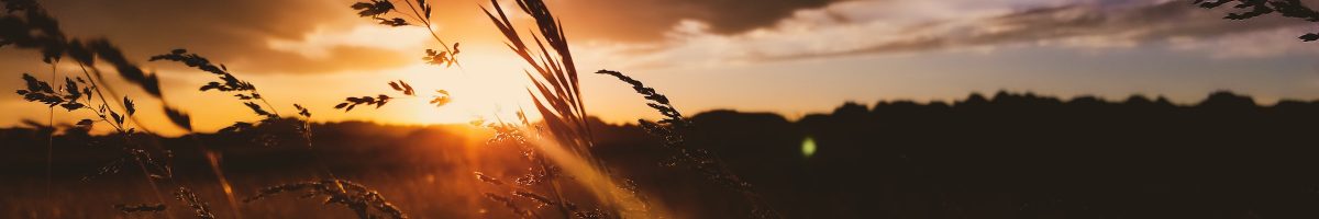 michelen-studios-C6maV9nTAzc-unsplash michelen-studios-C6maV9nTAzc-unsplash