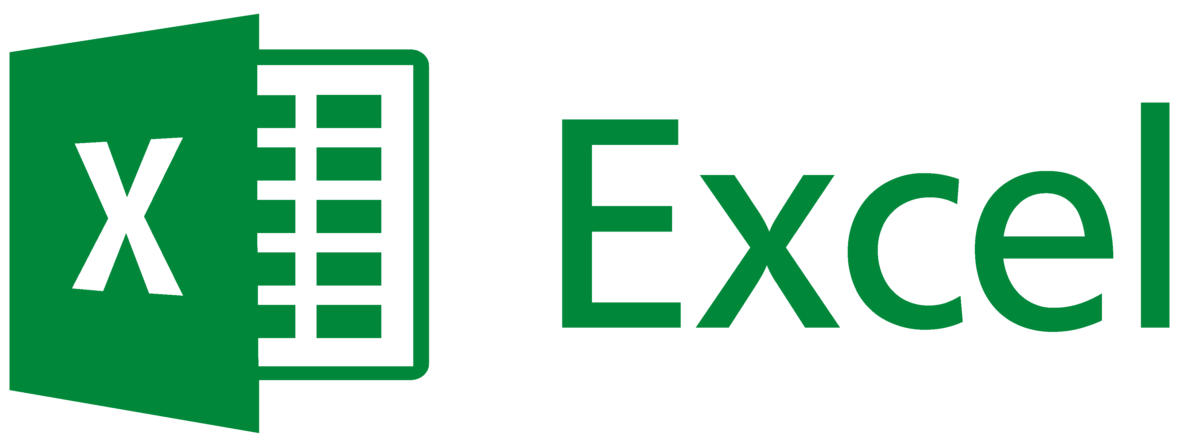 Microsoft Excel logo featuring the green "X" icon and the word "Excel".